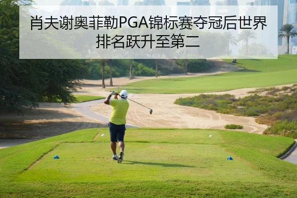 肖夫谢奥菲勒PGA锦标赛夺冠后世界排名跃升至第二