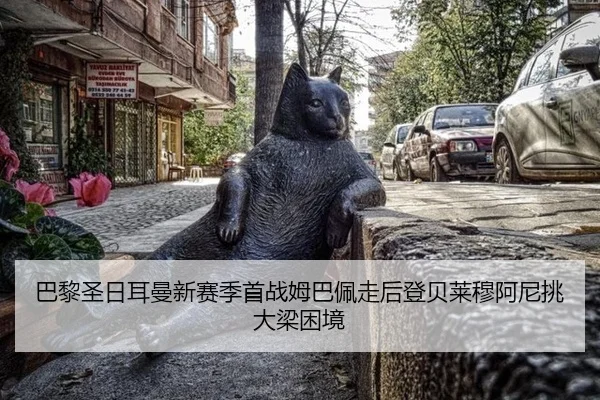 ba-li-sheng-ri-er-man-xin-sai-ji-shou-zhan-mu-ba-pei-zou-hou-deng-bei-lai-mu-a-ni-tiao-da-liang-kun-jing-3-873.jpg